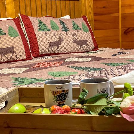 Spacious Resort Log Cabin, Easy Drive, Hot Tub, Arcade Gameroom, Mountain Vibe Gatlinburg Luaran gambar